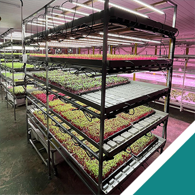 Indoor farming
